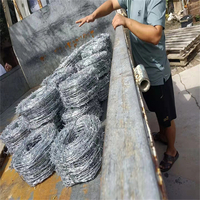 河北镀锌刺绳厂家供应清远包塑刺铁丝铁蒺藜围栏