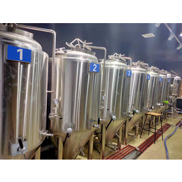 年产5000吨精酿啤酒厂大型精酿啤酒设备多少钱一台