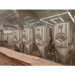 上海酒吧精酿啤酒设备推荐小型自酿啤酒设备精酿啤酒设备定制厂家