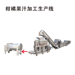 全自动柑橘脐橙果汁加工生产线3-20T/H