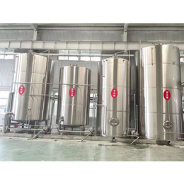 广西精酿啤酒设备 酿啤酒的机器 啤酒厂20吨设备缩略图
