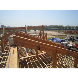木结构建筑木用支柱/可用于公建木屋