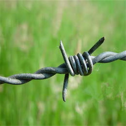 河北镀锌刺绳厂家供应六安不锈钢刺绳宿州绿色铁丝网