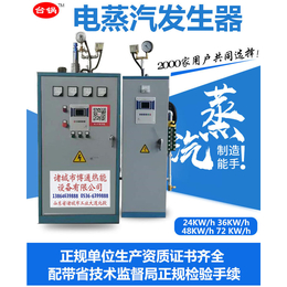 博通热能有限公司-商用电加热蒸汽发生器设备生产厂家