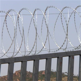 河北刺丝滚笼厂家供应江西边境防护网刺铁丝隔离栅