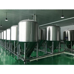 上海日产3000升精酿啤酒设备 大型精酿啤酒设备厂家供应