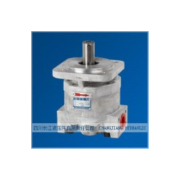 高压齿轮泵生产长江液压CBY3063系列液压泵