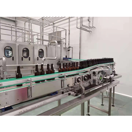 南京酒厂大型啤酒设备日产15吨的精酿啤酒生产设备