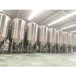 可以酿造出500吨啤酒的设备大型精酿啤酒设备厂家