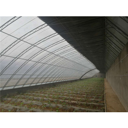 湖北玻璃温室大棚-亿农农业-玻璃温室大棚厂家