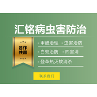 选择甲醛治理公司时需要关注哪些细节？