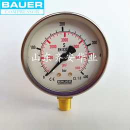 BAUER宝华压力显示表消防级N4101充气泵配件