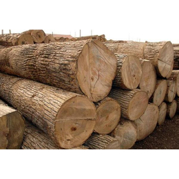 重磅消息木材进口中国报关报检新流程