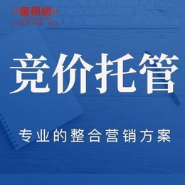 网站SEM推广方案-万创网