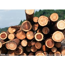 杜卡进口报关须知数据整理进口木材必要看的小细节