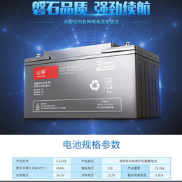 山特C1238铅酸免维护蓄电池12V38AH不间断电源UPS