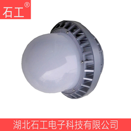 NFC9190 30W 220V弯杆式LED防水防尘防腐灯