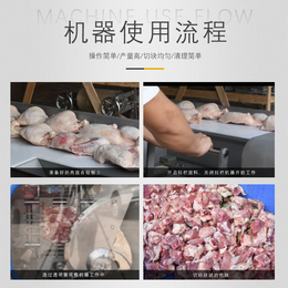 鲜肉冻肉切丁用的设备 切丁机图片价格参数