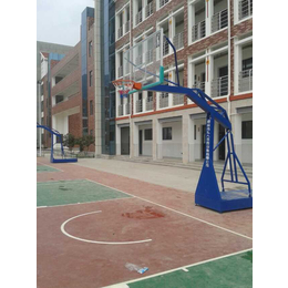 小区篮球架厂家-飞*育设施(在线咨询)-兴国篮球架厂家