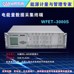 威胜集团WFET-3000电能量数据采集终端