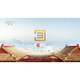 2023年CCTV3综艺频道广告刊例-央视3套广告投放热线缩略图