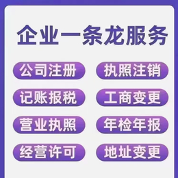 海南亿企飚企业管理服务缩略图