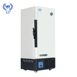 医然立式400L超低温冷柜实验室冰冻箱