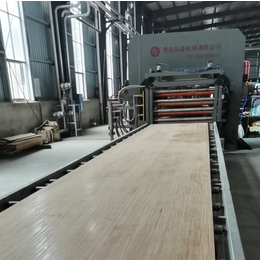 国森牌长度9.8米4层竹胶合板材热压机 产品用于集装箱底板