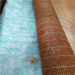 水保植生毯-通佳边坡绿化材料-岳阳植生毯