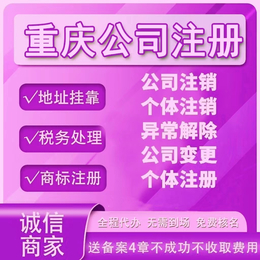 潼南变更营业执照变更法人股权