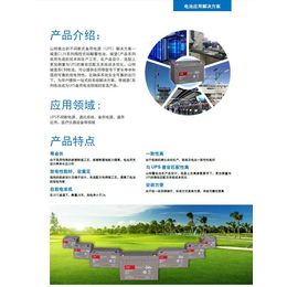 青海西宁科华UPS电源YTR3315-J扫描机UPS电源