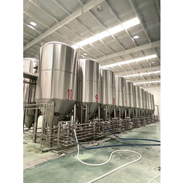 中大型工厂啤酒生产设备啤酒设备生产厂家