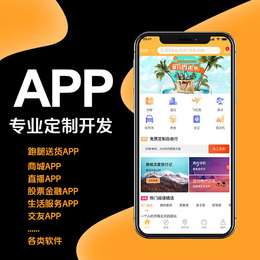 APP开发定制手机软件制作小程序代驾商城外卖物联网缩略图