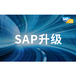 SAP系统升级 SAP ERP软件售后升级服务商 SNP公司缩略图