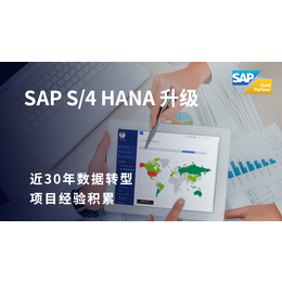 SAP系统升级改造 SAP S4升级供应商 SNP公司缩略图