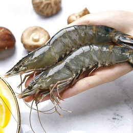 海鲜水产品虾蟹鱼进口报关所需材料