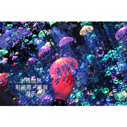 镜子迷宫销售-苏州镜子迷宫-紫晨游乐(查看)