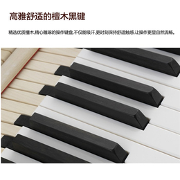 苏州钢琴-江苏苏州联合琴行-苏州恺撒堡钢琴