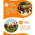 养殖母牛中缺乏微量元素的症状牧德惠母牛预混料缩略图3