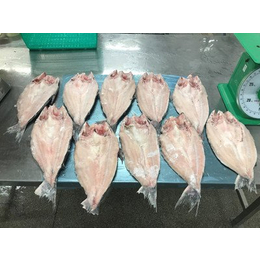 分享越南巴沙鱼鱼肚进口宁波港清关相关资料