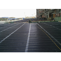 屋顶花园复合排水板-东诺工程材料土工材料-德州复合排水板
