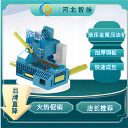 河北智皓 定制供应 液压金属打包机