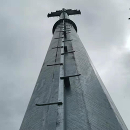 10KV电力钢杆 15米镀锌钢管杆 高压杆塔