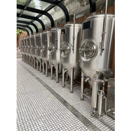 西双版纳小酒馆精酿啤酒设备2吨啤酒设备啤酒机器