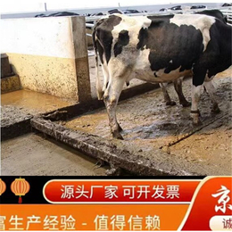 养殖设备牛场自动刮粪机批发