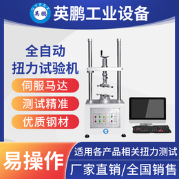 英鹏全自动扭力式试验机-电脑式YPSY-ZDNL-10/50缩略图