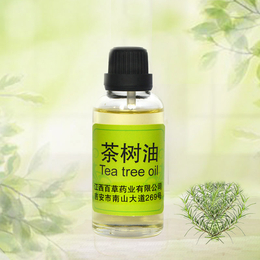 茶树油 植物提取物  植物精油香料油