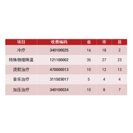 脉动加压冷热敷治疗系统TEMP220