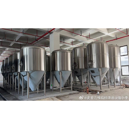 浙江日产3000升大型精酿啤酒设备配置