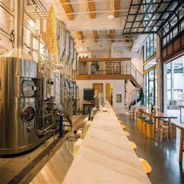 lw生产酒吧鲜啤酒糖化设备精酿啤酒自动化啤酒设备